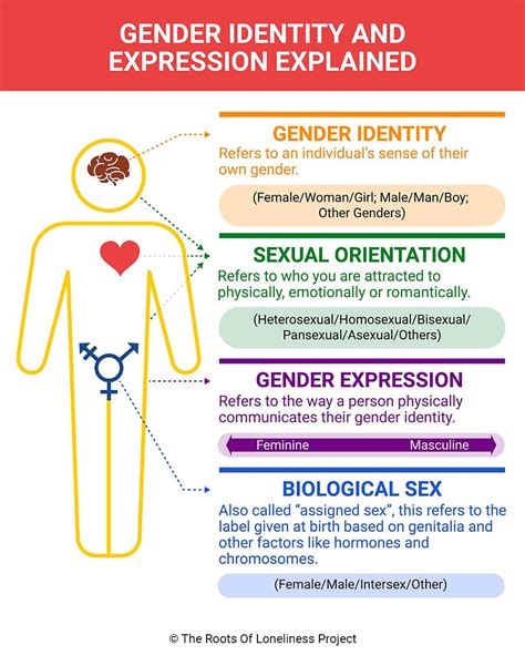 Sexual orientation, gender identity, gender expression, and sex .